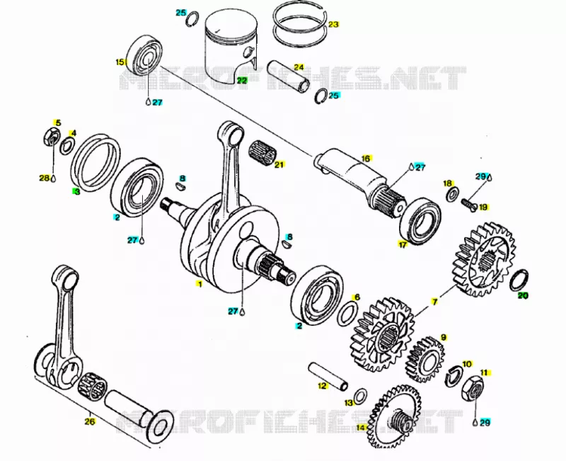 Drive shaft