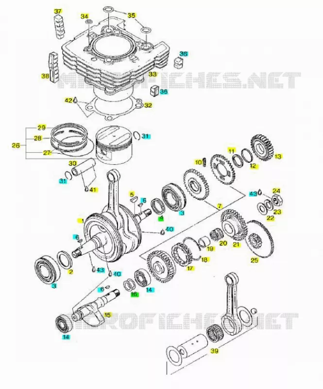 Drive shaft - Cylinder