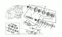 Driven shaft - 6 GEARS