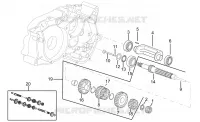 Primary gear shaft