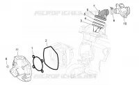 Cylinder head/Throttle body