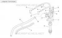 Oil pump (Carurettor)