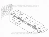 Driven pulley