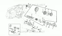 Driven shaft