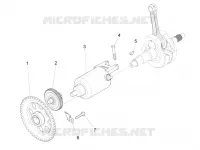 STARTER - STARTER MOTOR