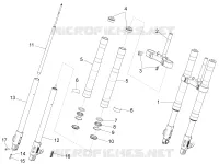 Front fork Paioli