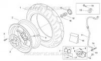 Rear wheel - disc brake