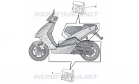 Central and rear body decal